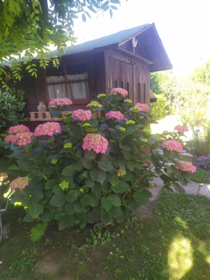 Al Casale B&B Casalserugo 外观 照片