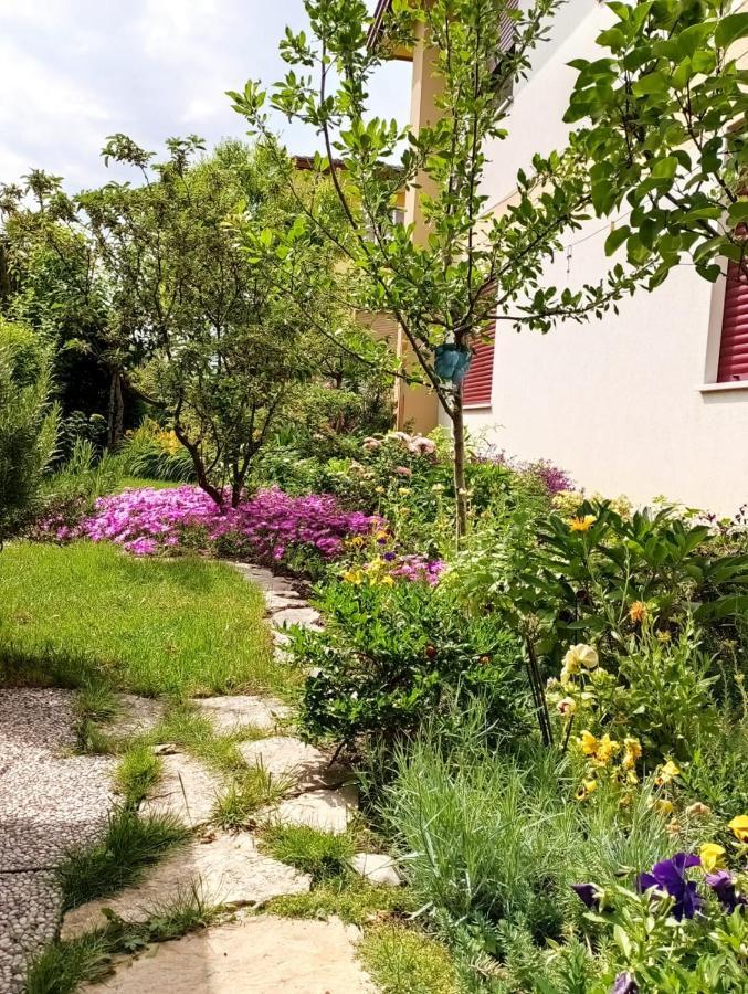 Al Casale B&B Casalserugo 外观 照片